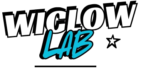wiclowlab.com